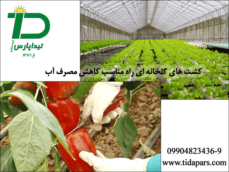 کشت گلخانه ای مناسب کاهش مصرف آب