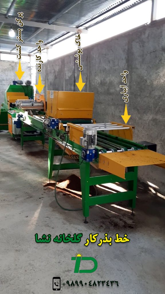 تولید نشا با خط بذرکار تیداپارس در گلخانه مدرن تولید نشا