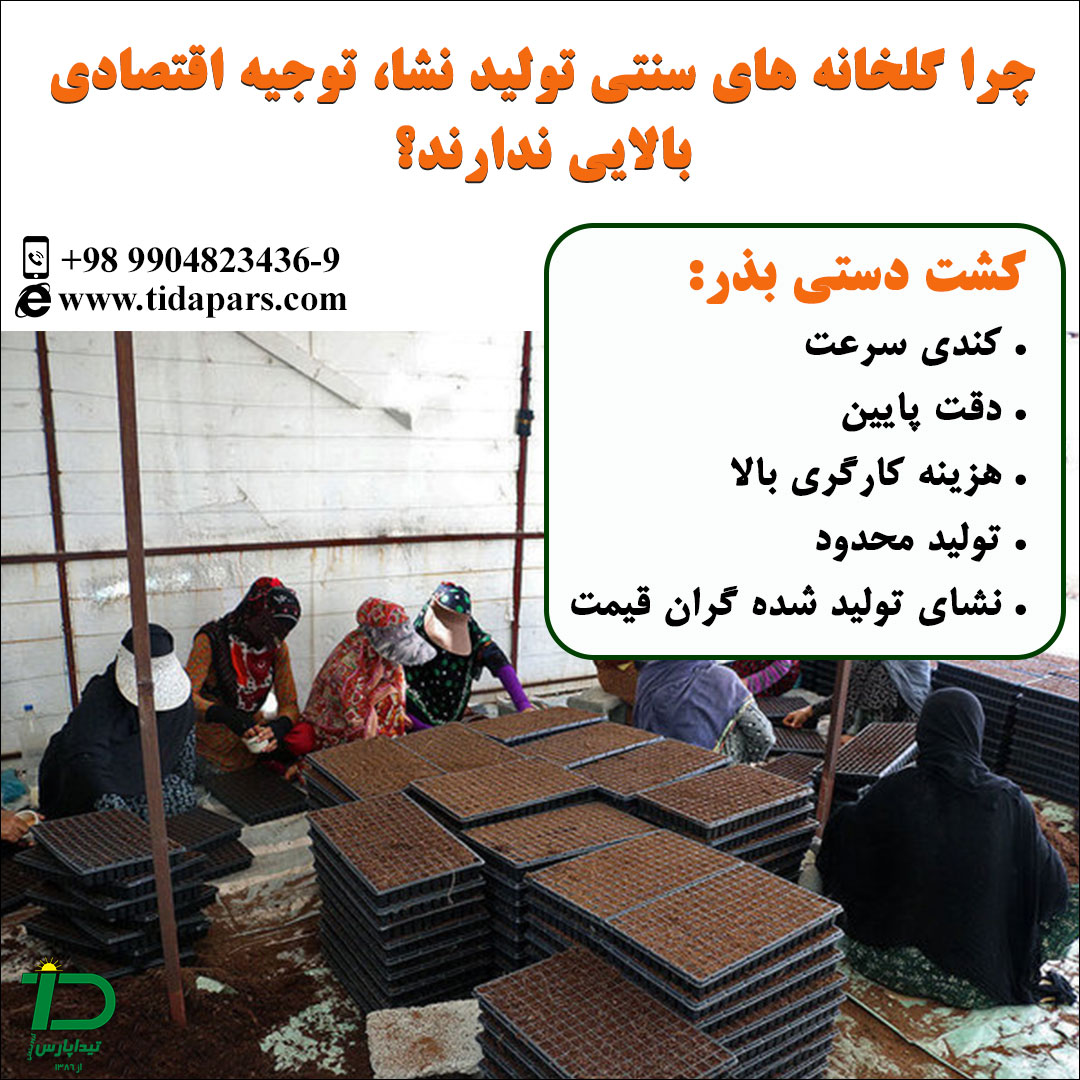 مشکلات کشت نشا به روش سنتی و دستی