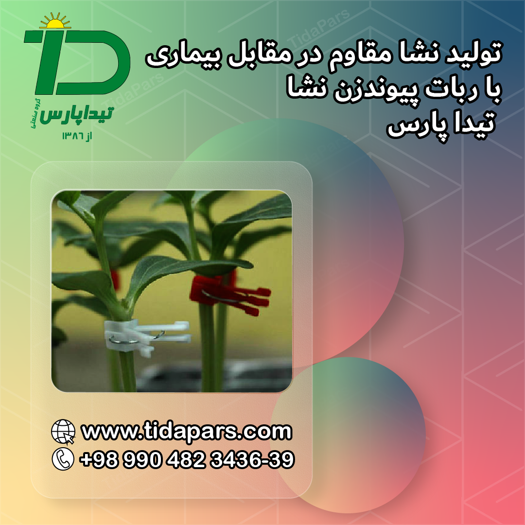 تولید نشا مقاوم در مقابل بیماری با ربات پیوندزن نشا تیداپارس