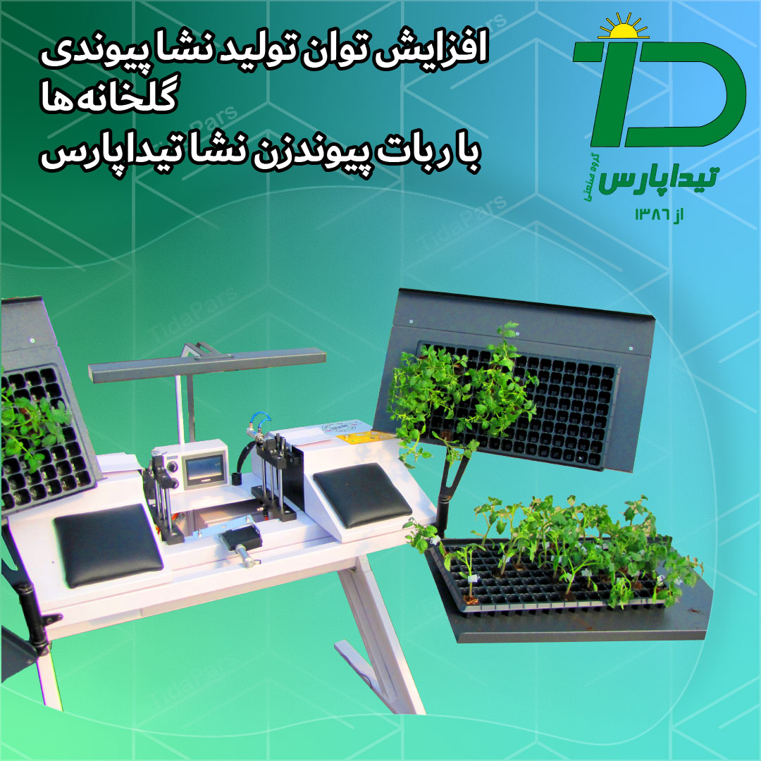 افزایش توان تولید نشا پیونید گلخانه ها با ربات پیوند زن نشا تیداپارس