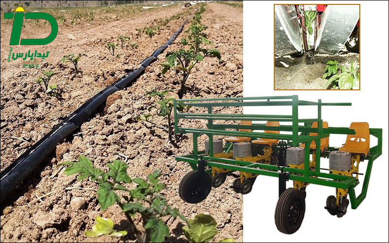 کاهش هزینه های تولید در نشاکاری