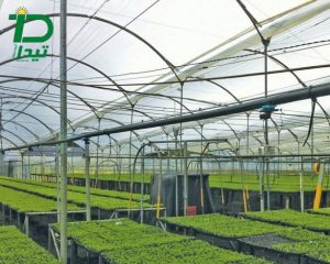 استانداردهای لازم در گلخانه