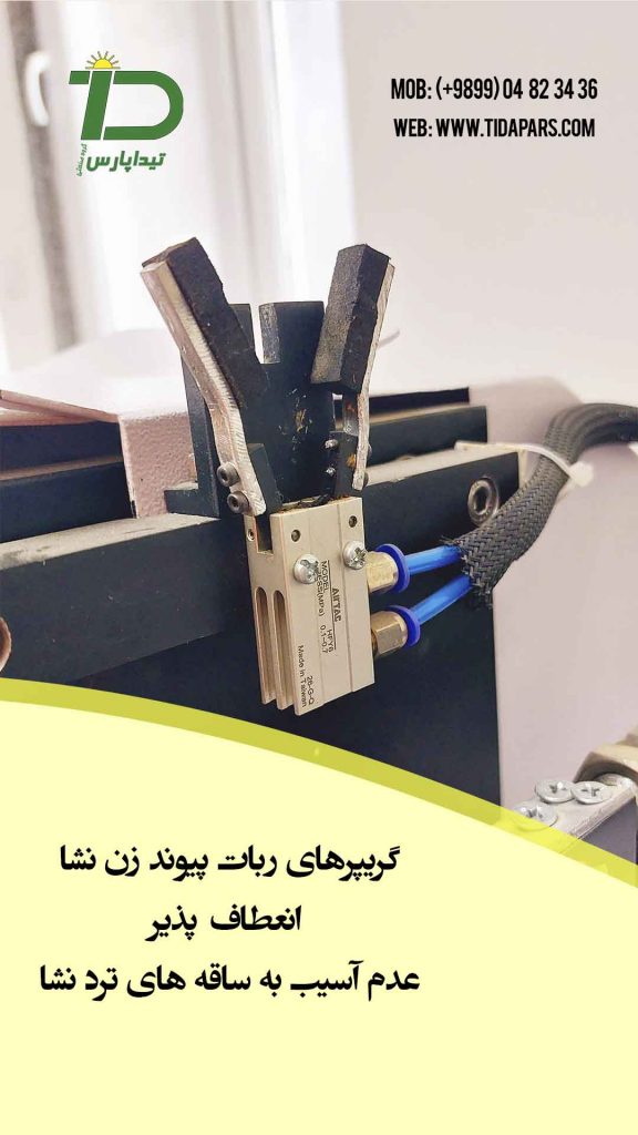 پیوند نشای صیفی