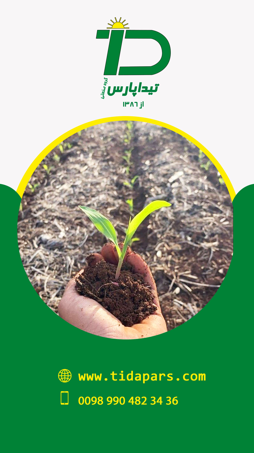 نشاکاری ذرت