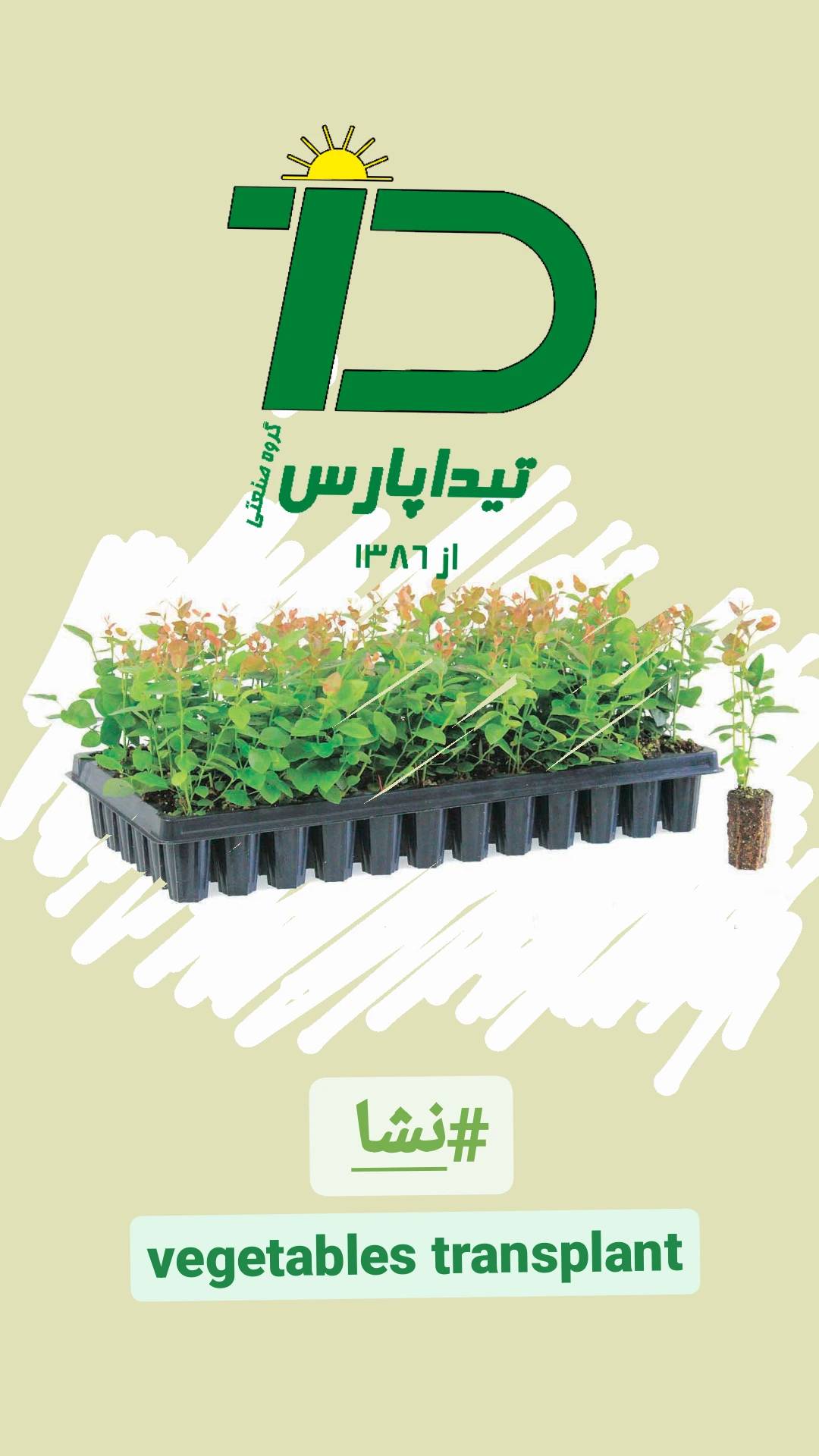 پرورش نشا