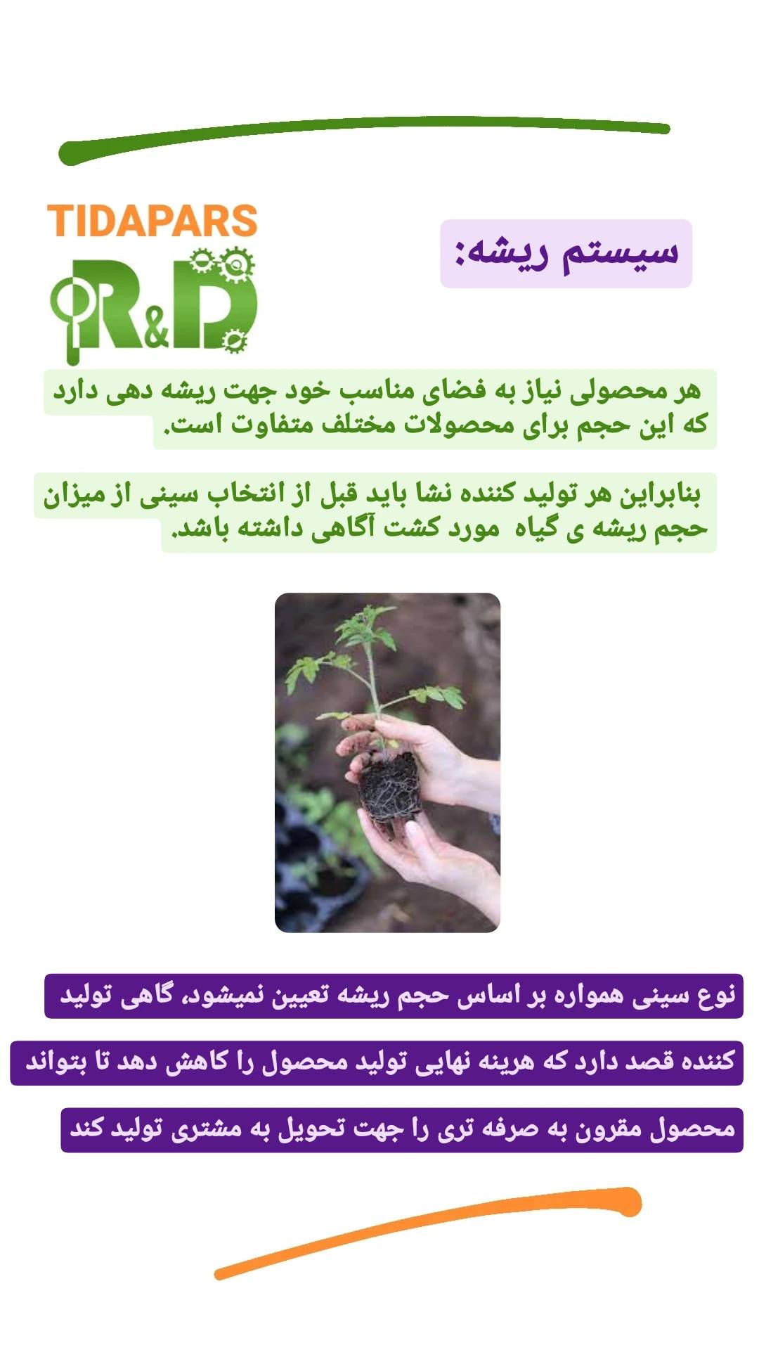 انتخاب سینی بنا به ریشه گیاه