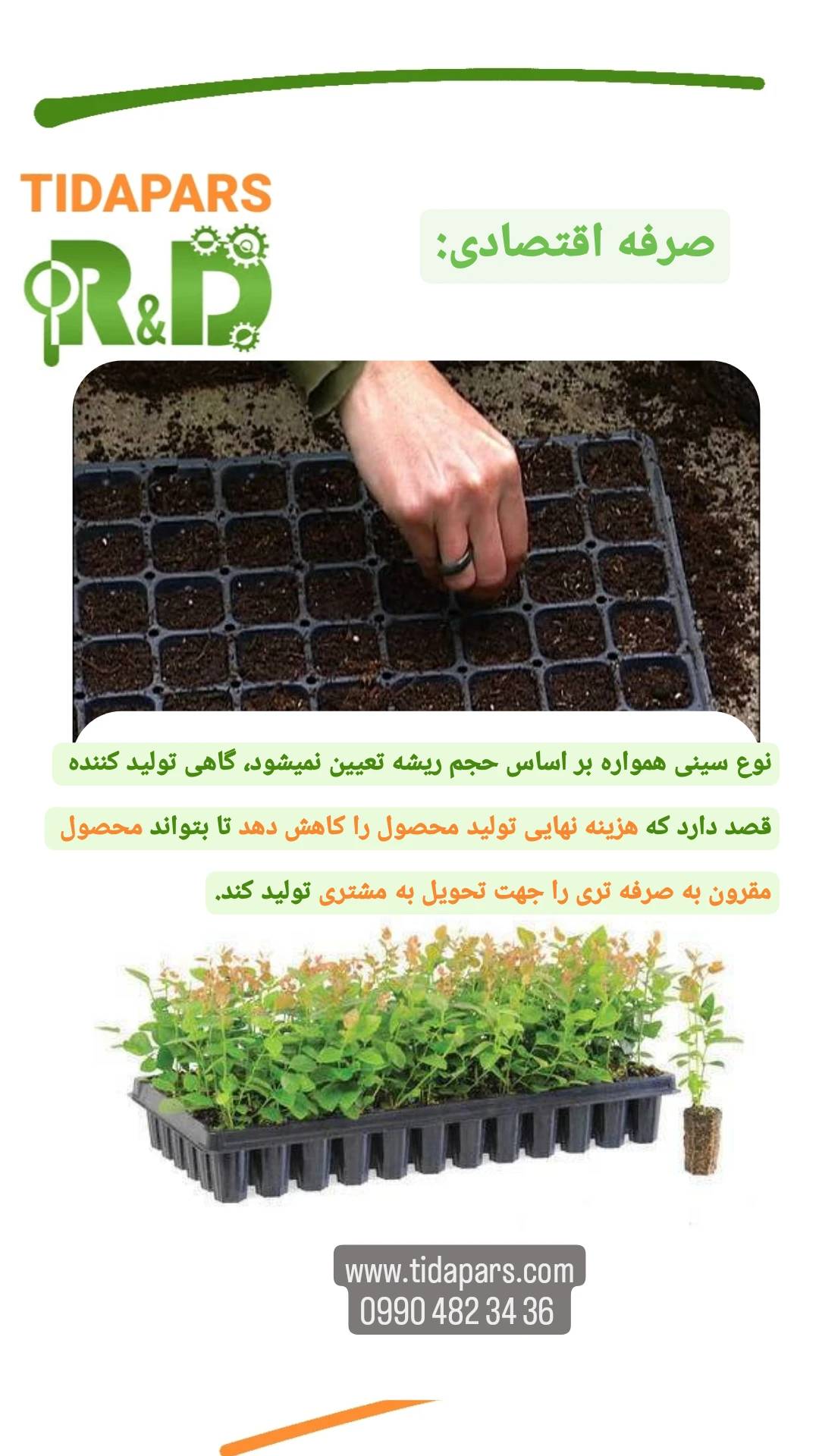 صرفه اقتصادی نوع سینی