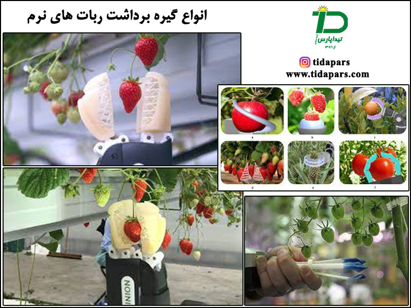 انواع ربات های برداشت