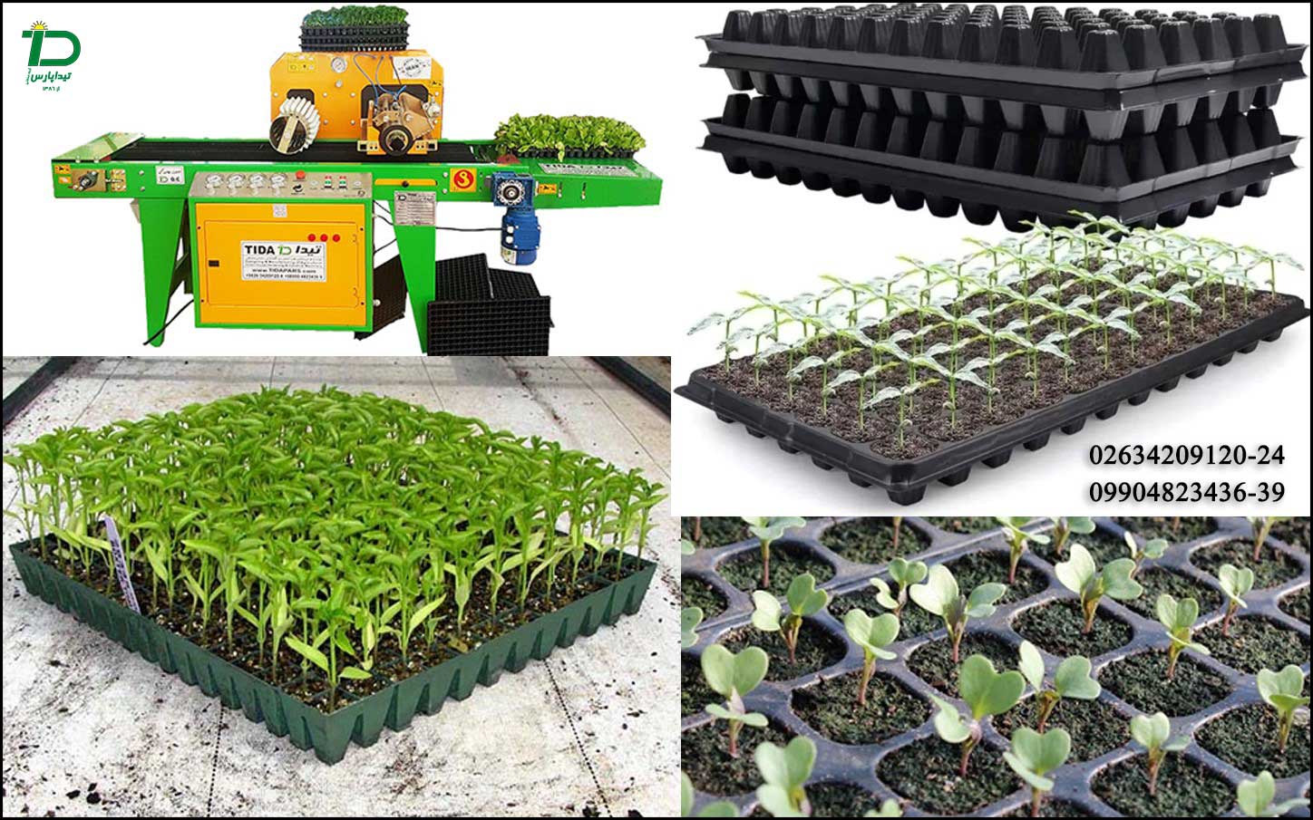 روش نشاکاری در گلخانه