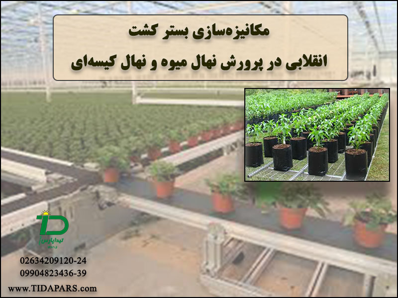 مکانیزه‌سازی بستر کشت؛ انقلابی در پرورش نهال میوه و نهال کیسه‌ای