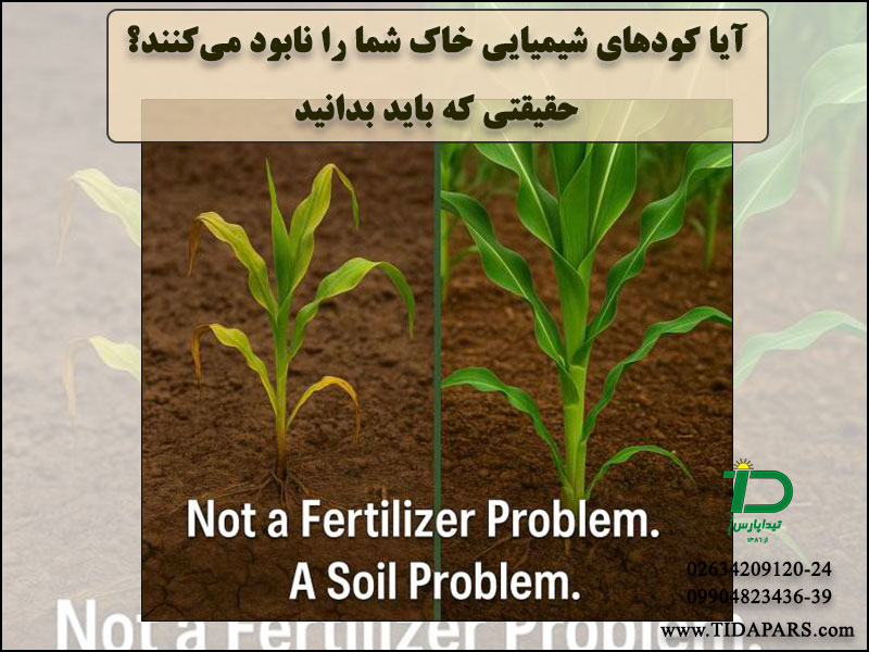 آیا کودهای شیمیایی خاک شما را نابود می‌کنند؟ حقیقتی که باید بدانید