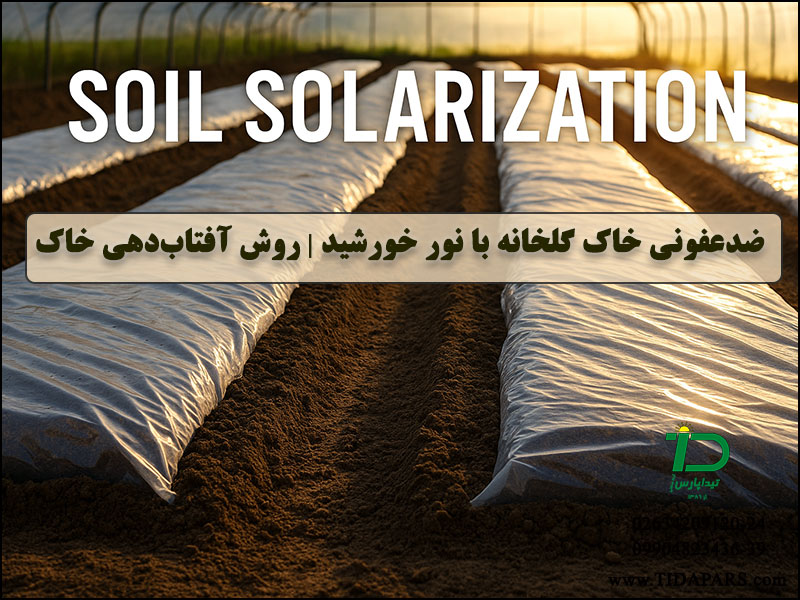 ضدعفونی خاک گلخانه با نور خورشید روش آفتاب‌دهی خاک