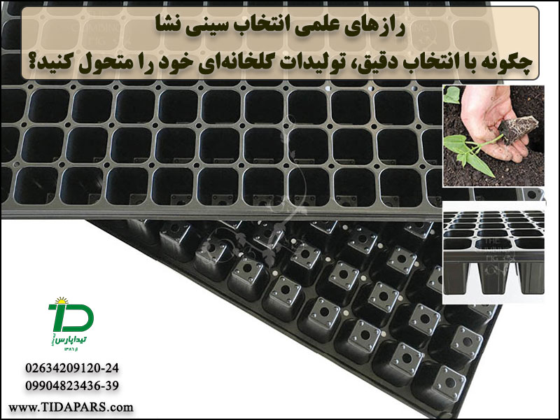رازهای علمی انتخاب سینی نشا؛ چگونه با انتخاب دقیق، تولیدات گلخانه‌ای خود را متحول کنید؟